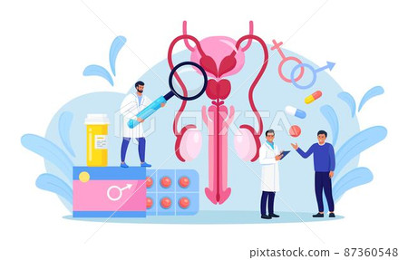 Urology concept. Urologist examining male reproductive system. Kidney and bladder treatment, hospital care. Doctors diagnosis sexually transmitted, venereal diseases. Bacterial infection 87360548