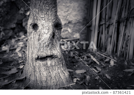 Tree stem that looks like a crying face Tree stem that looks like a crying face 87361421
