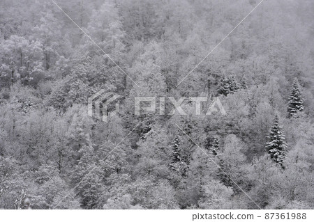 Winter panorama, Frozen trees, France, Ariege, Mountains Pyrenees Winter panorama, Frozen trees, France, Ariege, Mountains Pyrenees 87361988