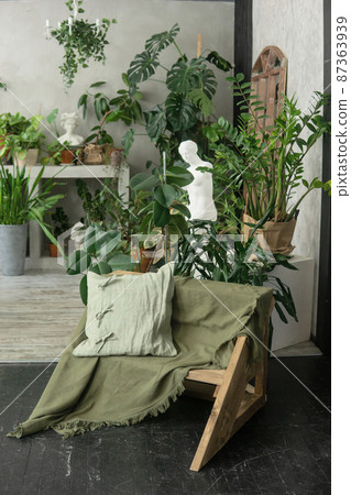 A fragment of the interior with a variety of indoor plants and plaster sculptures. Urban jungle concept. Biophilia design. A fragment of the interior with a variety of indoor plants and plaster sculptures. Urban jungle concept. Biophilia design. 87363939