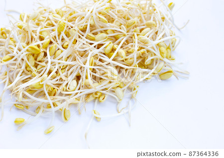 Fresh soybean sprouts for cooking. 87364336