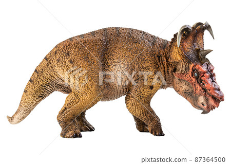 Pachyrhinosaurus  , dinosaur on white background . 87364500