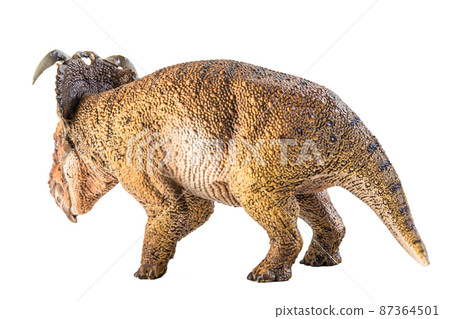 Pachyrhinosaurus  , dinosaur on white background . 87364501