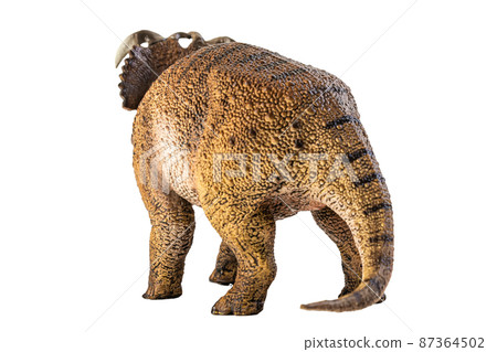Pachyrhinosaurus  , dinosaur on white background . 87364502