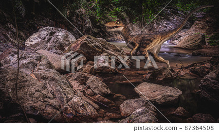 Velociraptor Dinosaur  in the  forest . 87364508