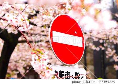 標誌和櫻花 87364829