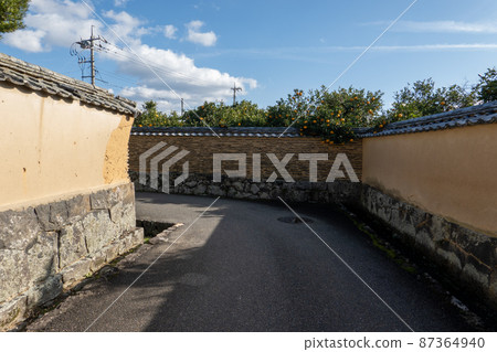 Horiuchi key piece 87364940