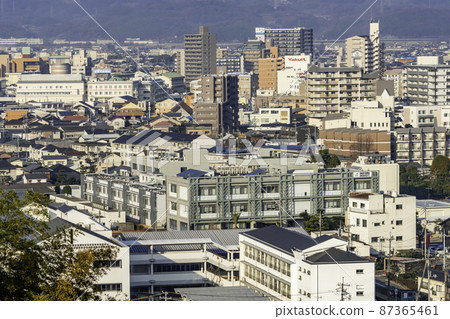 Kurashiki City, Okayama University, Institute of Resources and Plant Science, Kurashiki City, Okayama Prefecture 87365461