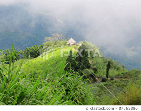 阿里山、新中浩郎 87365886