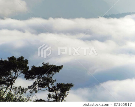 阿里山、新中浩郎 阿里山、新中浩郎 87365917