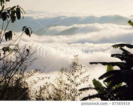 阿里山、新中浩郎 87365919