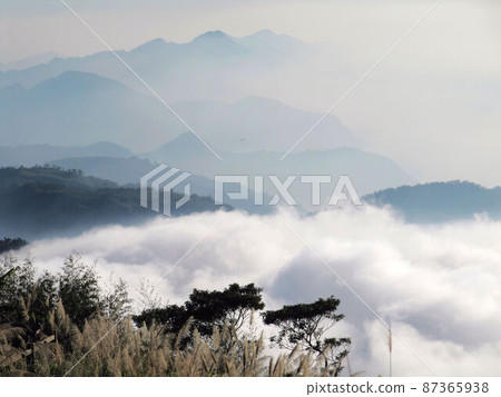 阿里山、新中浩郎 87365938