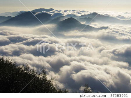 阿里山、新中浩郎 87365961