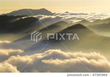 阿里山、新中浩郎 87365968