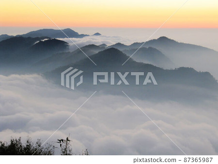 阿里山、新中浩郎 87365987