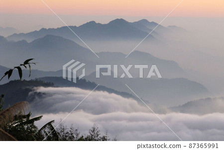 阿里山、新中浩郎 87365991