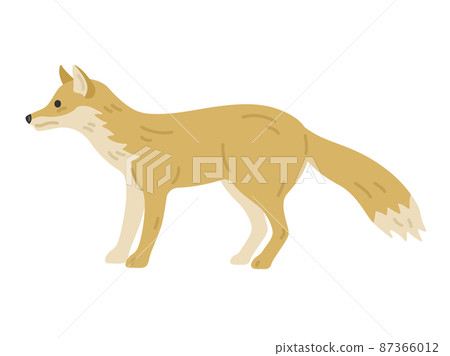Illustration of a fox seen from the side Illustration of a fox seen from the side 87366012