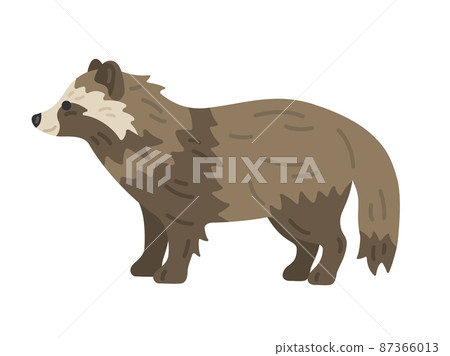 Illustration of a raccoon dog seen from the side Illustration of a raccoon dog seen from the side 87366013