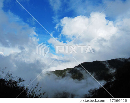 阿里山、新中浩郎 87366426