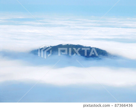 阿里山、新中浩郎 87366436