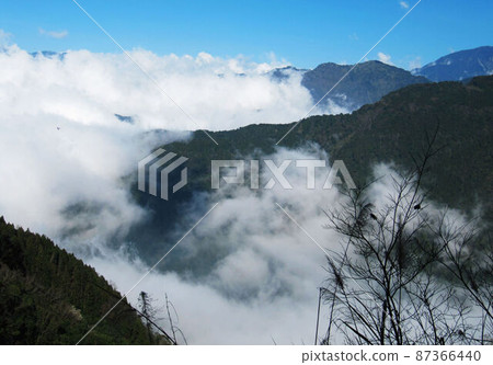 阿里山、新中浩郎 87366440