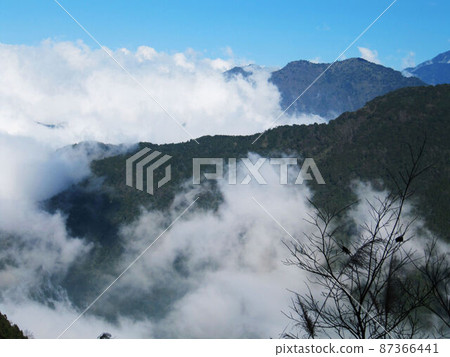 阿里山、新中浩郎 87366441