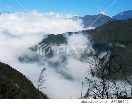 阿里山、新中浩郎 87366442