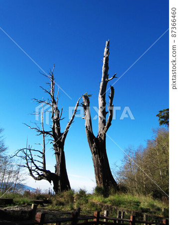 阿里山、新中浩郎 阿里山、新中浩郎 87366460