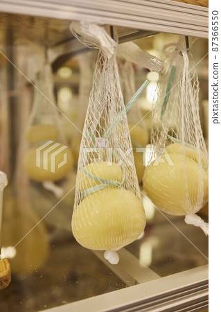 Delicious fresh Caciocavallo and Scamorza cheese hanging. Italian cheeses close up. The cheeses are handmade. The production of cheese. Delicious fresh Caciocavallo and Scamorza cheese hanging. Italian cheeses close up. The cheeses are handmade. The production of cheese. 87366550
