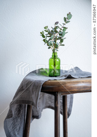 Eucalyptus cut flowers Eucalyptus cut flowers 87366947