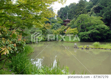淨琉璃寺,從本殿遠眺三層寶塔,京都府木津川市 淨琉璃寺,從本殿遠眺三層寶塔,京都府木津川市 87367270