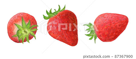 3 strawberries hand-drawn analog illustration 87367900