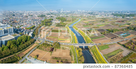 Aerial view "Saitama Prefecture" Minuma rice field spring 87368485