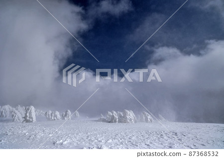 Hakkoda Mountain Ice (Aomori City, Aomori Prefecture) 87368532