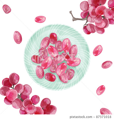 Hand-painted watercolor-style illustration of fruit grapes on a plate 87371018