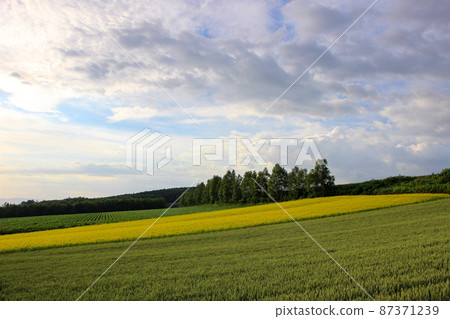 Hilly upland and summer clouds Hilly upland and summer clouds 87371239