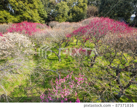[HDR] 七彩梅園風光 87371816
