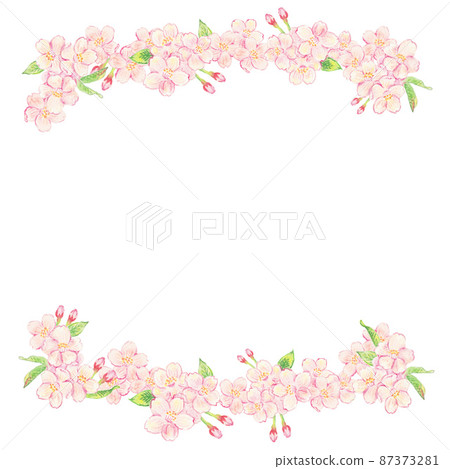 櫻花水彩鉛筆背景圖 櫻花水彩鉛筆背景圖 87373281