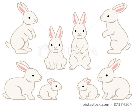 White rabbit illustration set 87374164