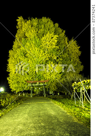 長野縣飯山市信州，神戶燈火通明的大町 87374241