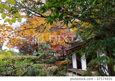 Remaining moon eaves and yellow autumn leaves in the precincts of Shisendo in the city Remaining moon eaves and yellow autumn leaves in the precincts of Shisendo in the city 87374850