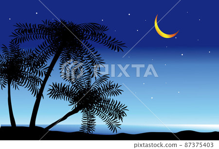 在晚上的棕櫚樹剪影 在晚上的棕櫚樹剪影 87375403