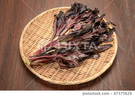 紅橡木生菜 87375629