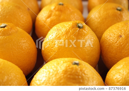 Haruka.N Amazon.com: 壽屋(KOTOBUKIYA) Pokemon Series ARTFX J Haruka