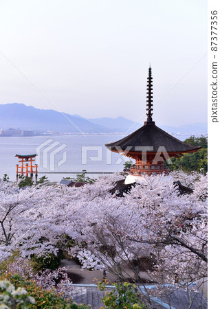 廣島宮島的Otorii 廣島宮島的Otorii 87377356