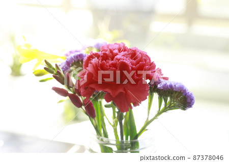 Flowers in a glass bottle 87378046