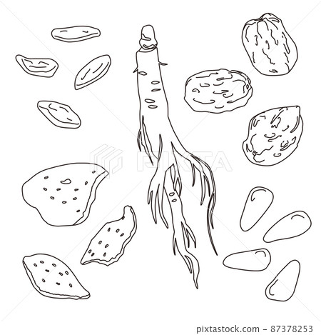 Various medicinal line drawing illustrations. Pine nuts, chenpi, jujube, ginseng, wolfberry. Various medicinal line drawing illustrations. Pine nuts, chenpi, jujube, ginseng, wolfberry. 87378253