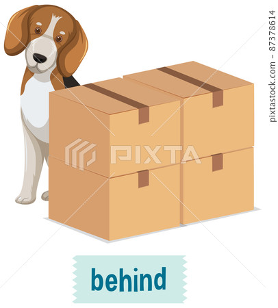 Preposition wordcard with dog and box Preposition wordcard with dog and box 87378614