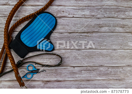 Dog accessories on wood background. Blue rubber grooming glove, claw clipper, brown leather leash and spiked collar for dog on wooden background. Top view, copy space. Pet care concept Dog accessories on wood background. Blue rubber grooming glove, claw clipper, brown leather leash and spiked collar for dog on wooden background. Top view, copy space. Pet care concept 87378773
