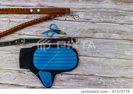 Dog accessories on wood background. Blue rubber grooming glove, claw clipper, brown leather leash and spiked collar for dog on wooden background. Top view. Pet care concept Dog accessories on wood background. Blue rubber grooming glove, claw clipper, brown leather leash and spiked collar for dog on wooden background. Top view. Pet care concept 87378776